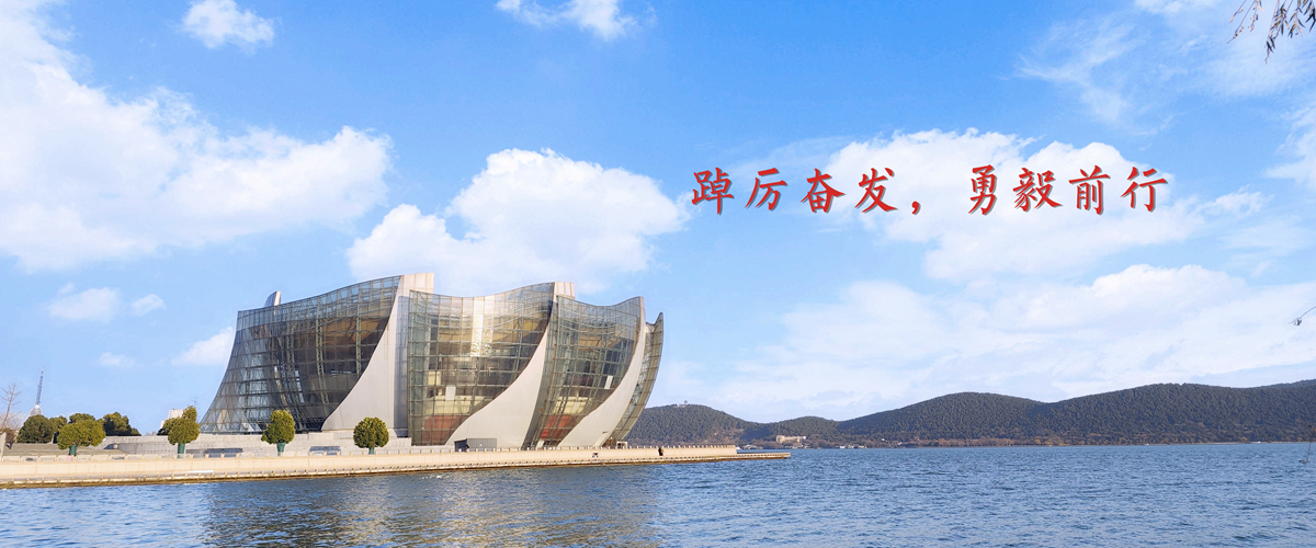 踔厉奋发，勇毅前行